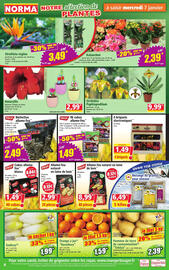 Catalogue Norma semaine 2 page 4
