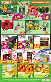 Catalogue Norma semaine 2 page 4