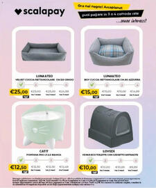 Volantino Arcaplanet Pagina 24