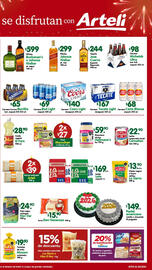 Folleto Arteli Página 2