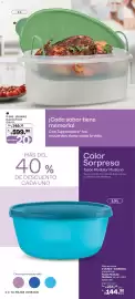 Catálogo Tupperware Página 32