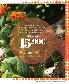 Catalogo Cristian Lay Pagina 21