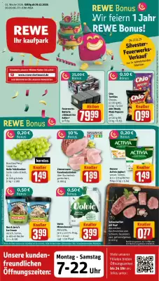 REWE Kaufpark Prospekt (gültig bis 4-01)