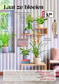 Intratuin folder week 1 Pagina 3