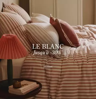 Catalogue Olivier Desforges (valable jusqu'au 11-01)