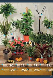 Folleto Alcampo Página 27