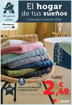 Folleto Alcampo (válido hasta el 25-01)