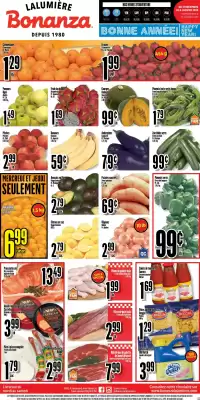 Bonanza flyer (valid until 6-01)