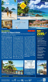 Lidl Flugblatt Seite 33