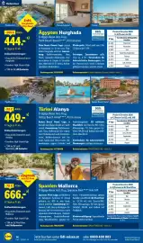 Lidl Flugblatt Seite 14