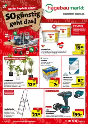 Hagebau Flugblatt (gültig bis 10-01)