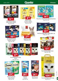 Qanto leták Strana 143