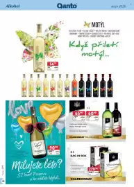 Qanto leták Strana 38