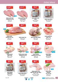 Qanto leták Strana 13