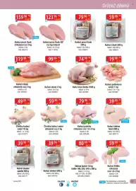 Qanto leták Strana 13