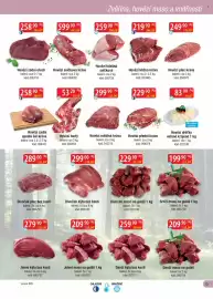 Qanto leták Strana 15