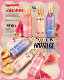 Catálogo Carmel Página 203