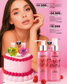 Catálogo Carmel Página 204