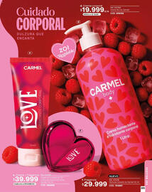 Catálogo Carmel Página 205