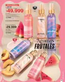 Catálogo Carmel Página 203