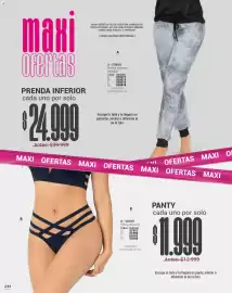 Catálogo Carmel Página 244