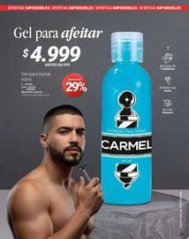 Catálogo Carmel Página 269