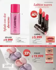 Catálogo Carmel Página 271