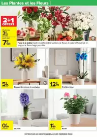 Catalogue Carrefour page 39