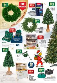 Mrówka gazetka Strona 6