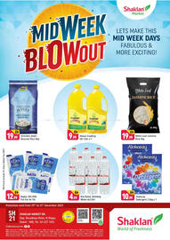 Shaklan leaflet Page 1