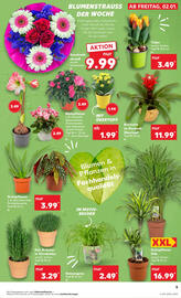 Kaufland DE folder week 1 Pagina 5