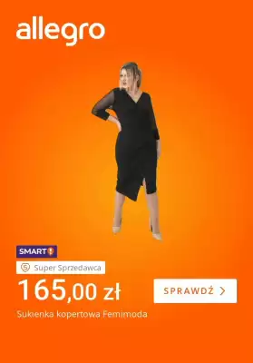 Allegro gazetka (ważność do 4-01)