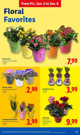 Lidl weekly ad Page 25