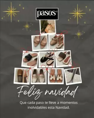 Catálogo Pasos (válido hasta 31-12)