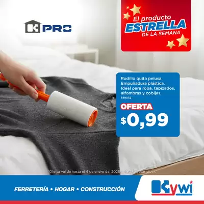 Catálogo Kywi (válido hasta 4-01)