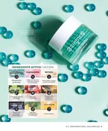 Catálogo Cristian Lay Página 11