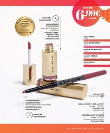 Catálogo Cristian Lay Página 41