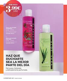 Catálogo Cristian Lay Página 46