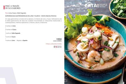 Catálogo Catai Página 21