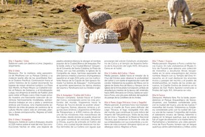 Catálogo Catai Página 74