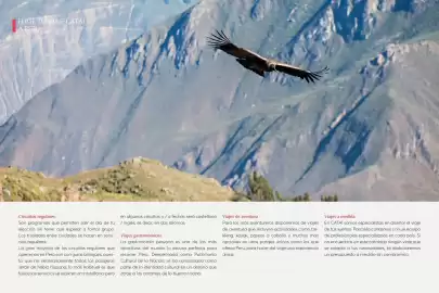 Catálogo Catai Página 10