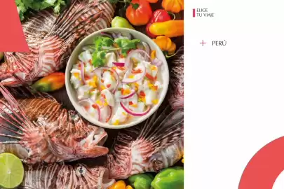 Catálogo Catai Página 11