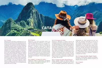 Catálogo Catai Página 115