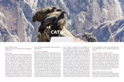 Catálogo Catai Página 46