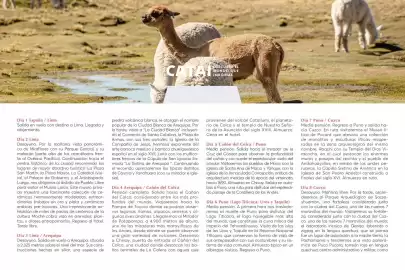 Catálogo Catai Página 74