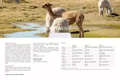 Catálogo Catai Página 76