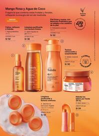 Catálogo Natura Página 105