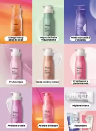 Catálogo Natura Página 100