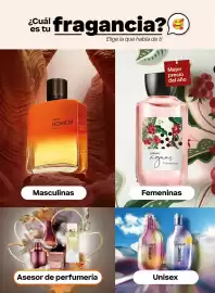 Catálogo Natura Página 17