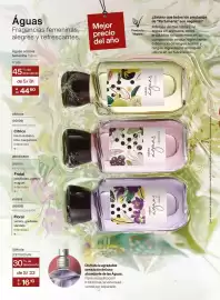 Catálogo Natura Página 19